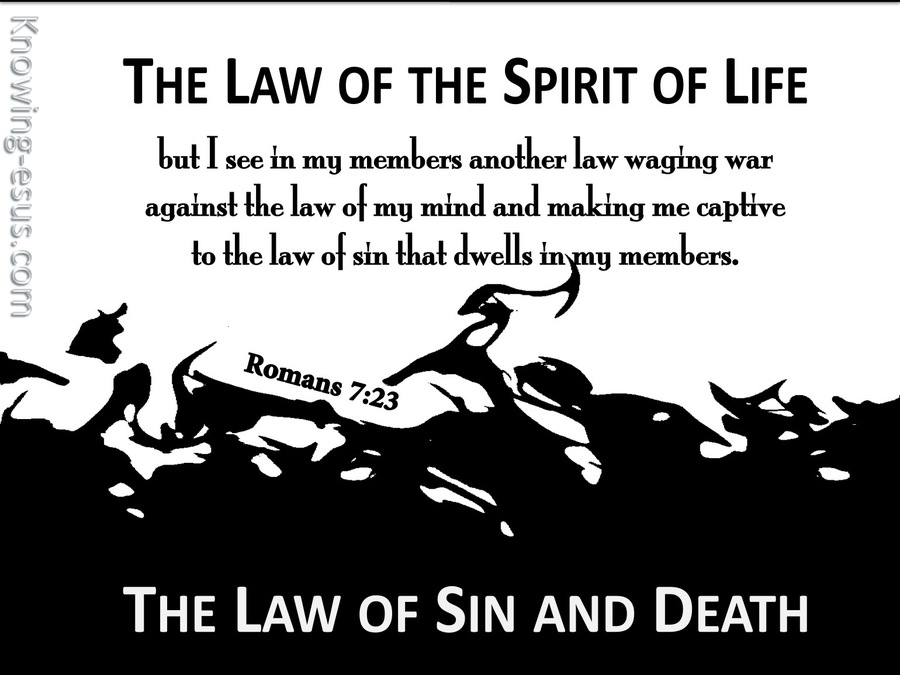Romans 7:23 The Law Of  The Spirit Of Life (white)